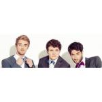 03-09-2013 - mcs_marketing - Y-Titty - banner.jpg